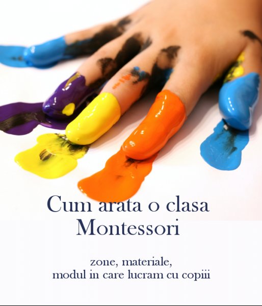 Arcadia Montessori - Gradinita Corbeanca